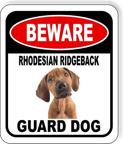 Vista 10 de BEWARE BASSETT HOUND GUARD DOG - Letrero compuesto de aluminio para exteriores, 8.5 x 10 pulgadas CUIDADO BASSETT HOUND GUARD PERRO