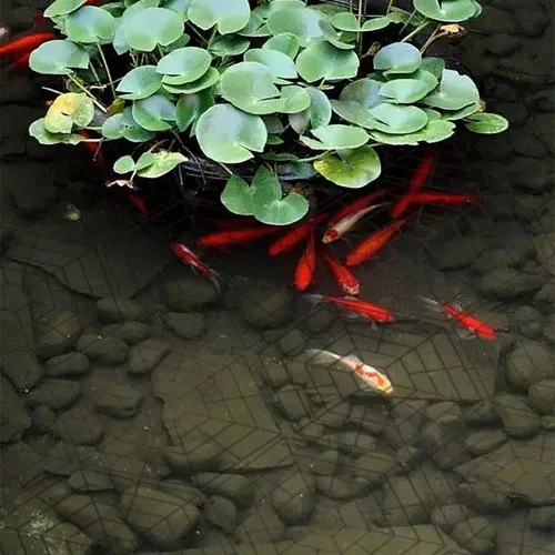 Vista 3 de MAITER Pond Netting Floating Guard Protect Fish Koi (paquete de 20, 10.6 x 12 pulgadas, hexagonal negro)