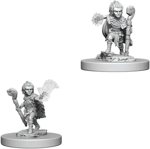 Vista 2 de WizKids Pathfinder Deep Cuts - Miniaturas sin pintar: Gnomo femenino Rogue