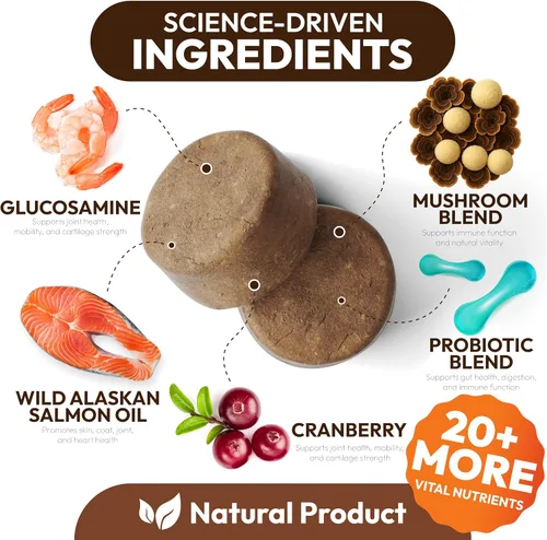 Vista 4 de Hongo de cola de pavo para perros – 250 masticables – Melena de león – Shiitake – Reishi – Protector de apoyo inmunológico Buddy – Suplemento