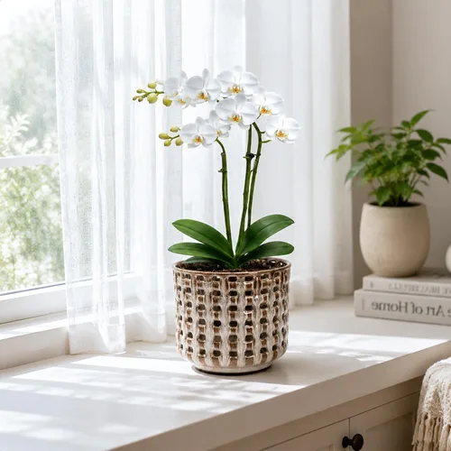 Vista 7 de D'vine Dev Maceta de cerámica para orquídeas de 6.7 pulgadas con diseño de recorte de celosía, maceta esmaltada con maceta transparente y platillo