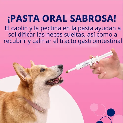 Vista 7 de Nutramax Probióticos proviables para perros y gatos pequeños, kit de apoyo para la diarrea, suplemento de salud digestiva con múltiples cepas