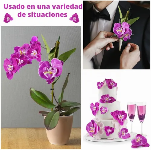 Vista 3 de Janinka - 80 cabezas de orquídeas falsas de seda Phalaenopsis para Morado oscuro