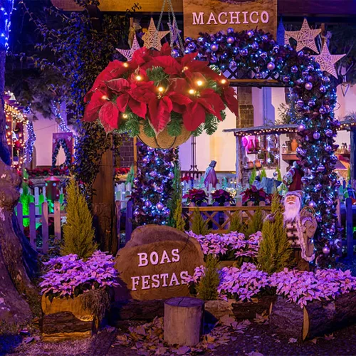 Vista 3 de Cesta colgante de Navidad preiluminada de 17.7 pulgadas, flor de pascua artificial, maceta colgante de flores de Navidad con luces, cesta de Navidad