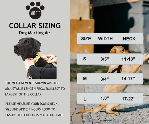 Vista 7 de Martingale - Collar para perro con cadena de acero y hebilla de liberación rápida, ajustable, floral, sin tirones, collares de entrenamiento Flamenco