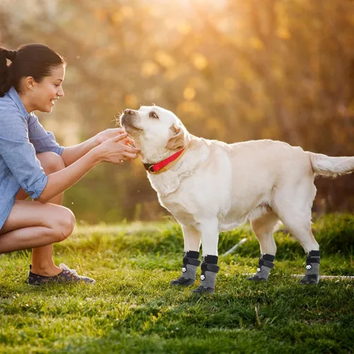 Vista 5 de Botas para perro, calcetines impermeables para pavimento caliente, botines antideslizantes para perros, protectores de patas para suelos de madera