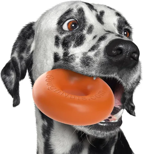 Vista 15 de Goughnuts - Juguete de goma para morder para perros Med.75, verde, anillo