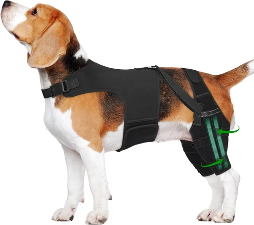 Vista 12 de Rodillera de perro para pierna trasera, soporte ajustable para piernas de perro con 4 estabilizadores, soporte de cadera para reducir el dolor
