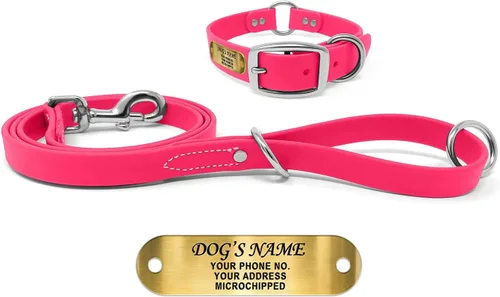 Vista 22 de Regal Dog Products Collar de Perro Naranja Mediano con Placa de Nombre Grabada Personalizada - Ajuste Personalizado, Resistente, Fácil de Limpiar