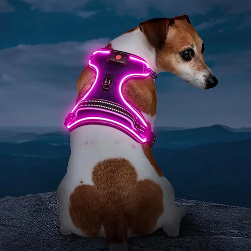 Vista 5 de Arnés para perro iluminado con batería pequeño