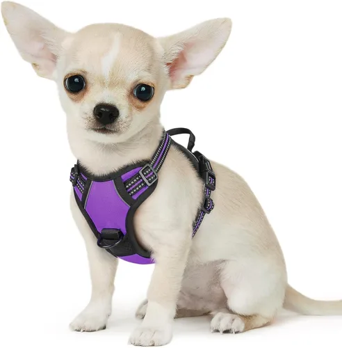 Vista 51 de Eagloo Arnés para perro pequeño, sin tirones, chaleco de servicio con tiras reflectantes y asa de control, ajustable y cómodo para caminar, arnés