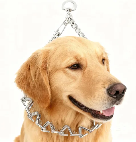Vista 9 de Collar de entrenamiento para perros con puntas curvadas con anillo giratorio ajustable