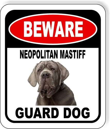 Vista 123 de BEWARE BASSETT HOUND GUARD DOG - Letrero compuesto de aluminio para exteriores, 8.5 x 10 pulgadas CUIDADO BASSETT HOUND GUARD PERRO