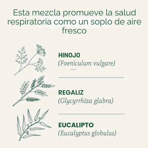 Vista 3 de Traditional Medicinals Té orgánico que respira fácilmente, promueve la salud respiratoria, 16 bolsas de té