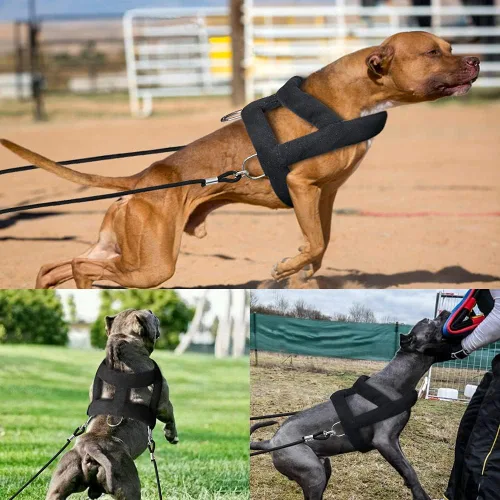 Vista 8 de Forestpaw Arnés de perro resistente sin tirones para entrenamiento, chaleco táctico con 3 anillos de metal, arnés acolchado suave para perros