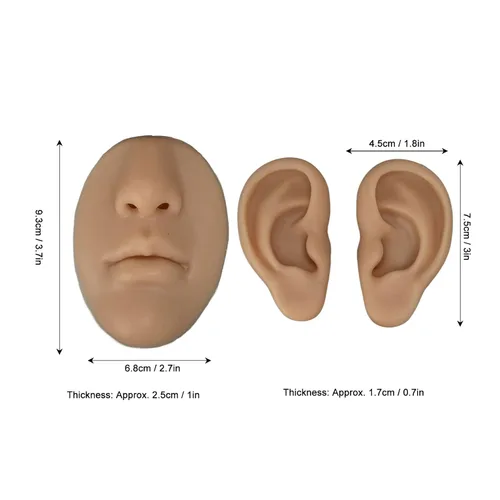 Vista 9 de Dioche Modelo 3D simulado de nariz y boca para práctica de piercing, herramienta de enseñanza segura, ligera y versátil para aspirantes a artistas