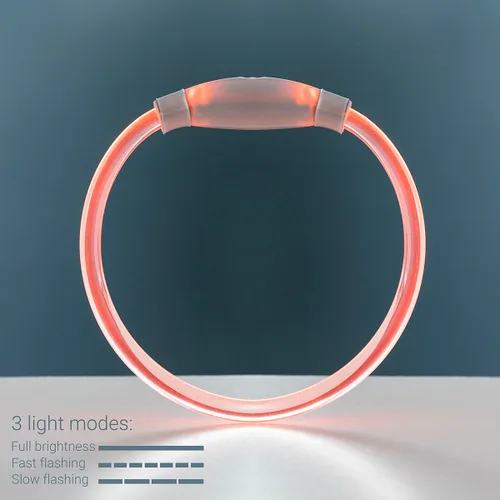 Vista 6 de Collar LED para Mascotas Petlux InnovaGoods