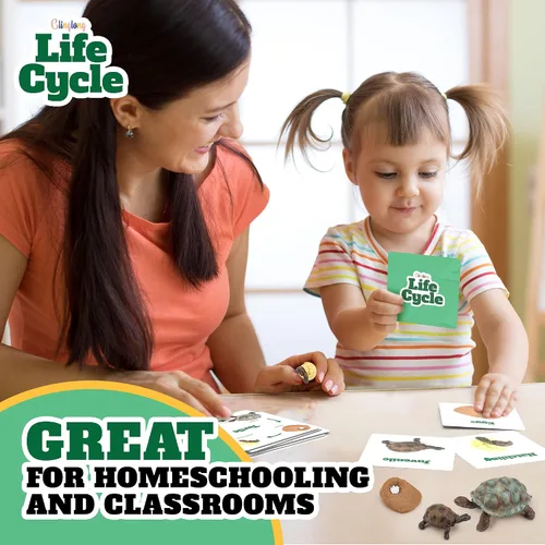 Vista 5 de Kit de animales de ciclo de vida, juguete de ciencia Montessori con juego de 24 piezas, mariposa, rana, pollo, abeja, mariquita y tortuga, regalo