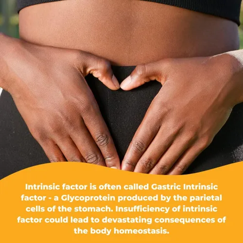 Vista 6 de Factor intrínseco con ácido fólico y vitamina B-12 1000mcg - 120 Cápsulas