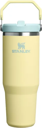 Vista 136 de STANLEY IceFlow 2.0 - Vaso con pajilla abatible con asa, 30 onzas, tapa giratoria y popote abatible, botella de agua a prueba de fugas, acero Tiza