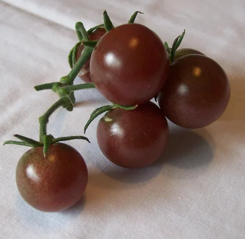 Vista 5 de 50+ Semillas de Tomate Cherry - Negro Vegetal
