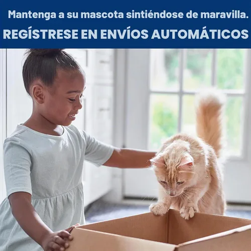 Vista 12 de Hill's Science Diet Comida seca para gatos de fórmula para gatitos White