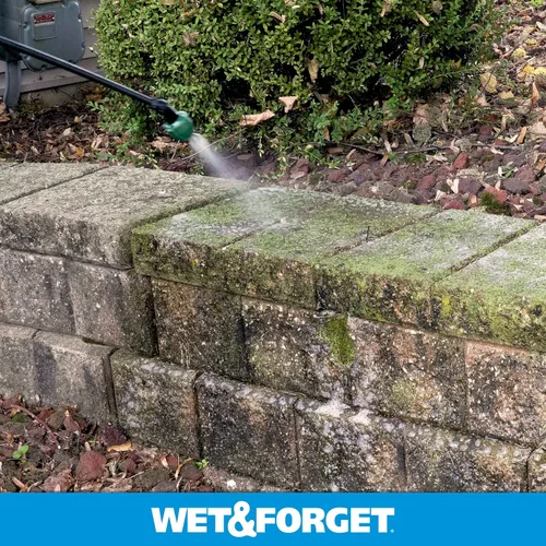 Vista 2 de Wet & Forget Molde de musgo para exteriores, removedor de manchas de hongos y algas, 2 x 0.75 galones