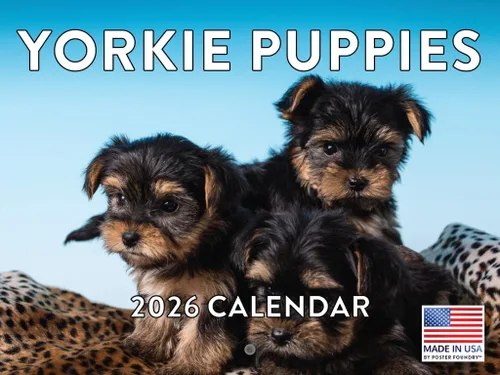 Vista 119 de Calendario mensual de pared Airedale Terrier Dog 2027 rojo (Airedale Terrier)