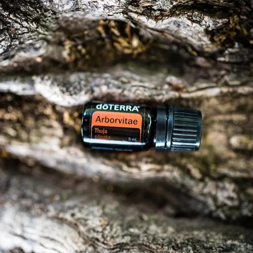 Vista 6 de doTERRA - Aceite esencial de arborvitae - 5 mL