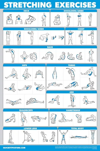 Vista 6 de Palace Learning Paquete de 3: póster de ejercicio con mancuernas + entrenamientos de bandas de resistencia + ejercicios de estiramiento, juego de 3