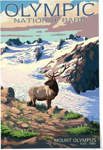 Vista 9 de Lantern Press Parque Nacional Olímpico, Washington, Grand Valley, alce, 8 x 12 pulgadas - Impresión artística para decoración de pared
