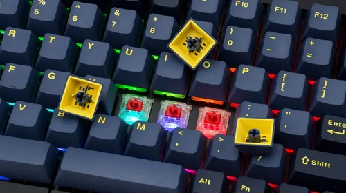 Vista 7 de Mistel BAROCCO MD770 RGB con cable + teclado mecánico inalámbrico Bluetooth TKL dividido con interruptor azul Cherry MX, teclado ergonómico