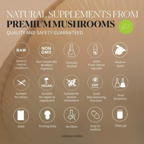 Vista 5 de Hifas Microbiota - Suplemento orgánico de complejo de hongos con melena de león, reishi y shiitake - Prebiótico de apoyo digestivo y salud