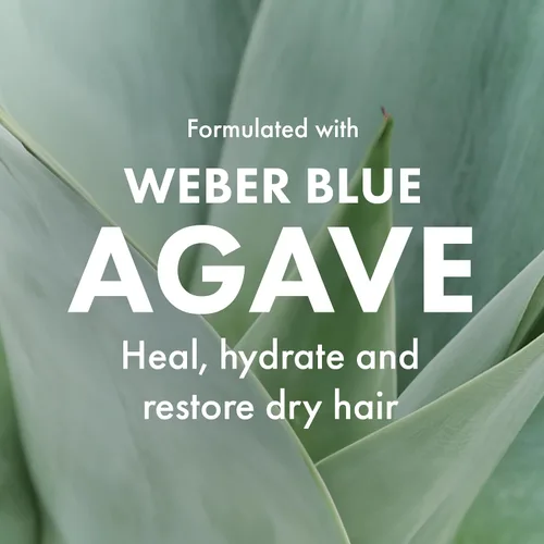 Vista 7 de Cepillo de paleta de bambú natural Agave para desenredar y alisar Bambú natural, ligero y duradero, desenreda y suaviza, añade brillo, para uso