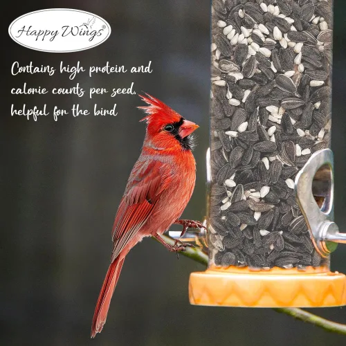 Vista 7 de Happy Wings Mezcla de alimento para pájaros Cardinal Blend de 5 libras