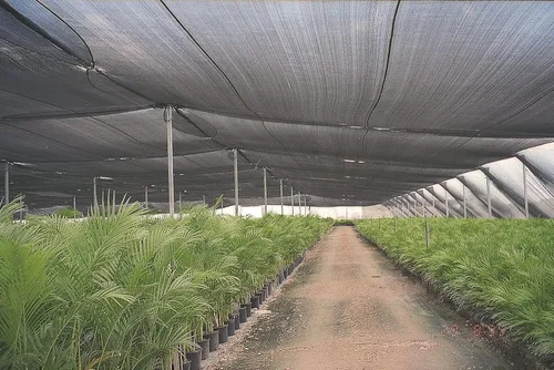 Vista 8 de Agfabric Cubierta de tela con 70% protector solar con clips para plantas de 6 x 12 pies, color negro 70% negro
