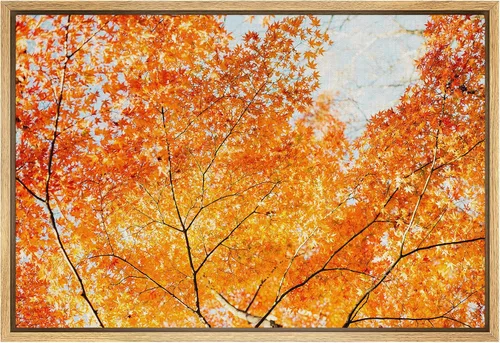 Vista 36 de SIGNFORD Lienzo impreso para pared, puesta de sol, campo de girasol, naturaleza, desierto, paisaje decorativo, relajante, tranquilo, para sala