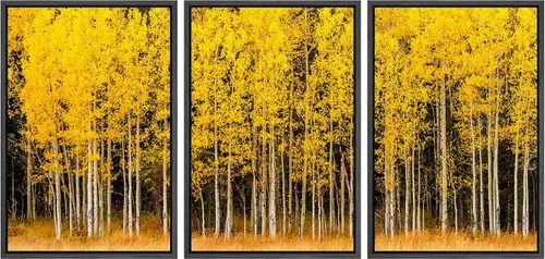 Vista 94 de wall26 Lienzo enmarcado para pared, juego de arte de noche estrellada sobre montañas, cielo nocturno tranquilo, naturaleza, desierto, fotografía
