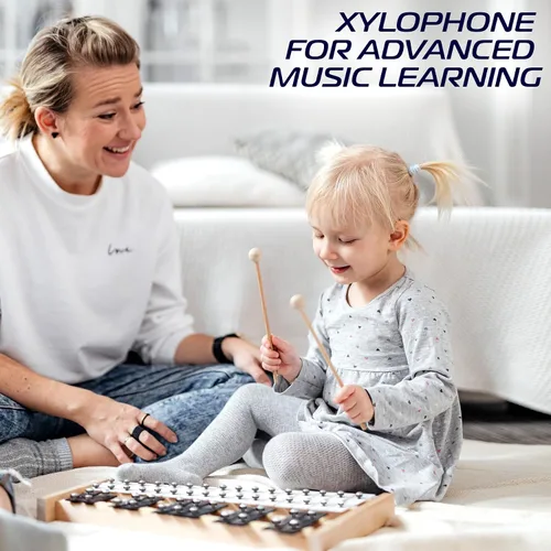 Vista 6 de MINIARTIS Glockenspiel Xilófono Xilófono Glockenspiel de tamaño completo de 27 notas con teclas de metal para adultos y niños Instrumento