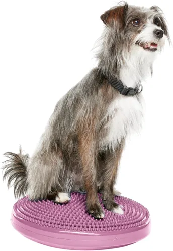 Vista 10 de FitPAWS® Disco de equilibrio para perros, 14 pulgadas, azul, equipo de ejercicio para perros, herramienta de entrenamiento para fuerza, núcleo