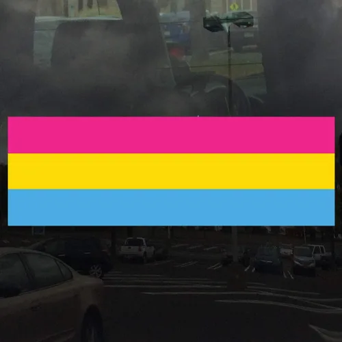 Vista 2 de Pansexual Pride Flag - Adhesivo de vinilo de 3 pulgadas de ancho por 1 pulgada de alto