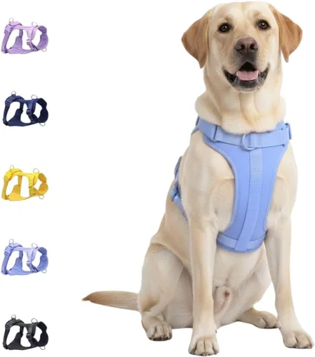Vista 20 de Dog Harness - No Pull Adjustable Front Clip Vest with Soft Padding, 3Leash Clips, and No-Choke Oxford Design Comfort for Small, Medium, and Large