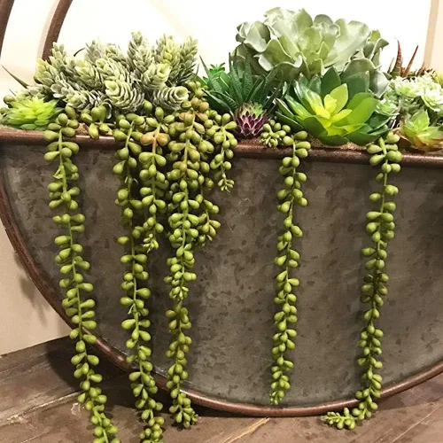 Vista 3 de 6 piezas artificiales de cadena de perlas falsas, plantas suculentas colgantes falsas (6, verde)