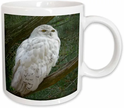 Vista 11 de 3dRose mug_154800_4 - Taza con diseño de búho blanco nieve posado en una rama contra un fondo verde, 11 onzas, color negro