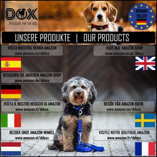 Vista 6 de DDOXX Airmesh - Collar para perro, collares fuertes y ajustables para perros, XS (naranja)