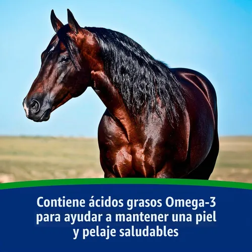 Vista 7 de Farnam - Suplemento de soporte de peso para caballos, suministro para 30 días Ayuda a mantener el peso óptimo y la condición corporal, proporciona