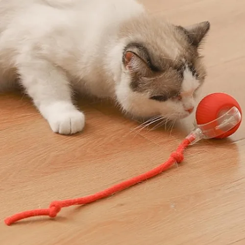 Vista 5 de Pelota de juguete para gatos con cuerda de cola, bola rodante inteligente, luz LED, juguete eléctrico para mascotas pequeñas, salto interactivo