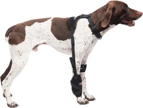 Vista 2 de Caldera Pet Therapy Universal Wrap Carpal/Codo con Gel, Mediano, Negro (PET205)