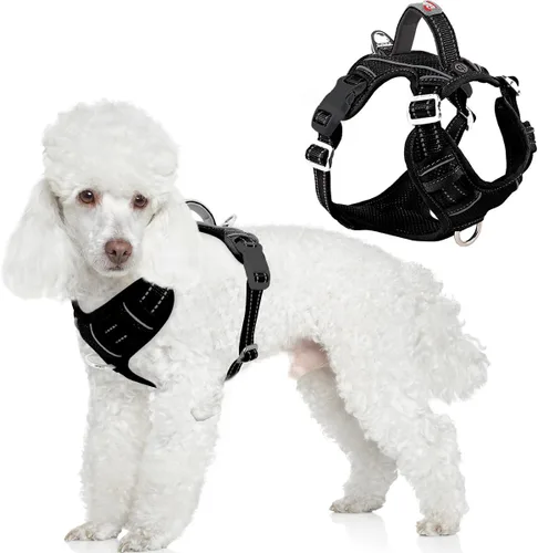 Vista 20 de BARKBAY Arnés Oxford sin tirones para perro con bolsillo para etiqueta de identificación, resistente, reflectante, fácil control para perros grandes