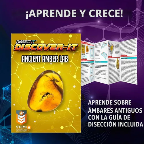 Vista 4 de Discover-It - Kit de laboratorio de ciencias, juguetes STEM para niños, a partir de 5 años Hidden Insect: Open synthetic amber to discover a